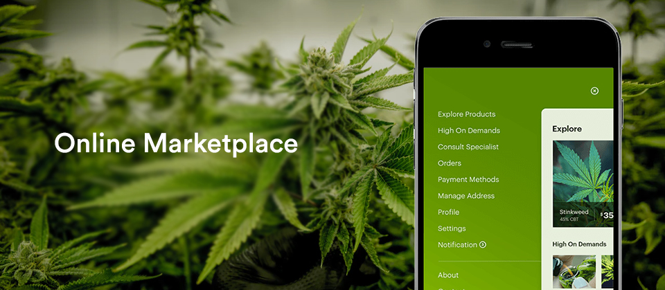 cannabis market