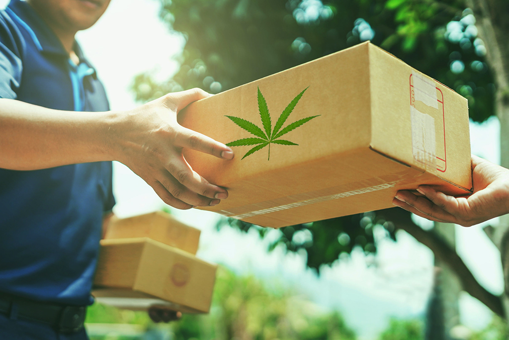 cannabis delivery business