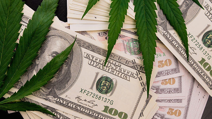cannabis software revenue model