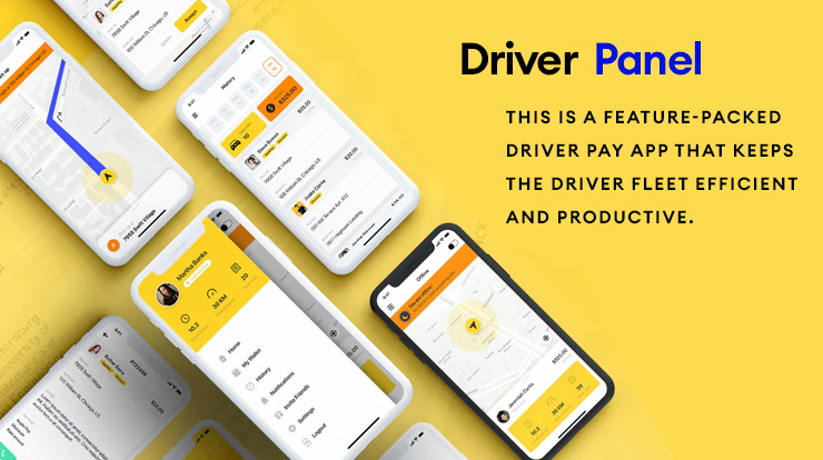 taxi app driver's panel