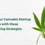 fundraising strategies for cannabis delivery business