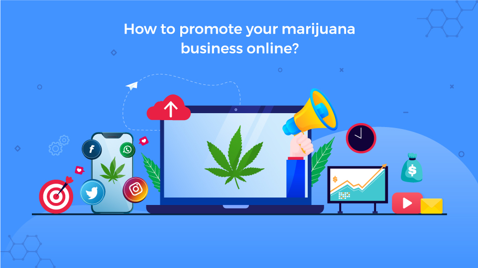 online marijuana business