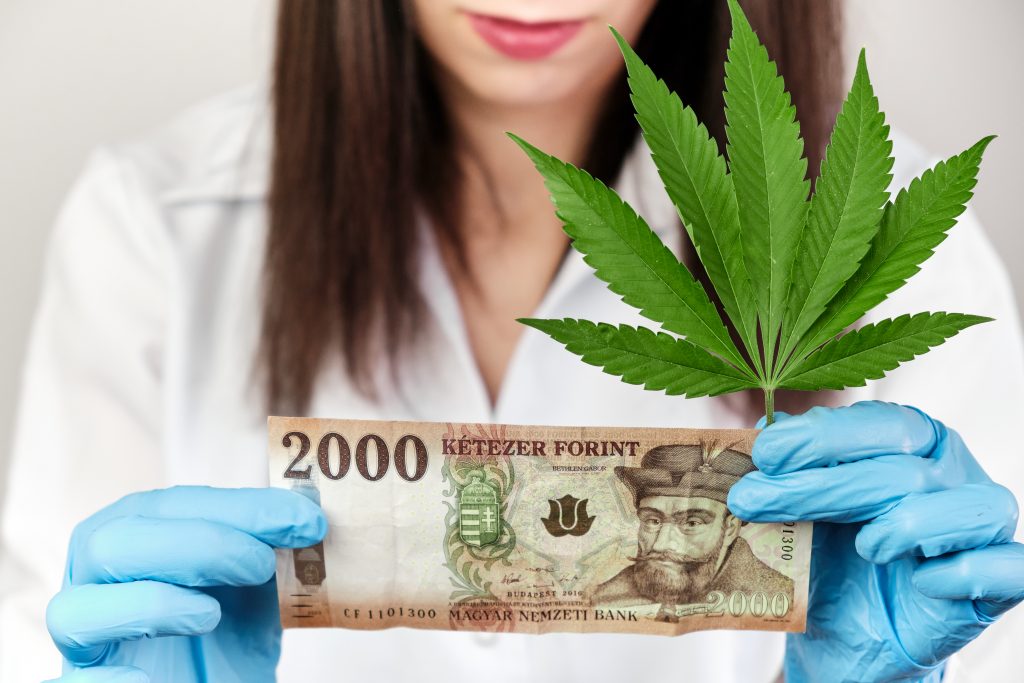 cannabis business profit