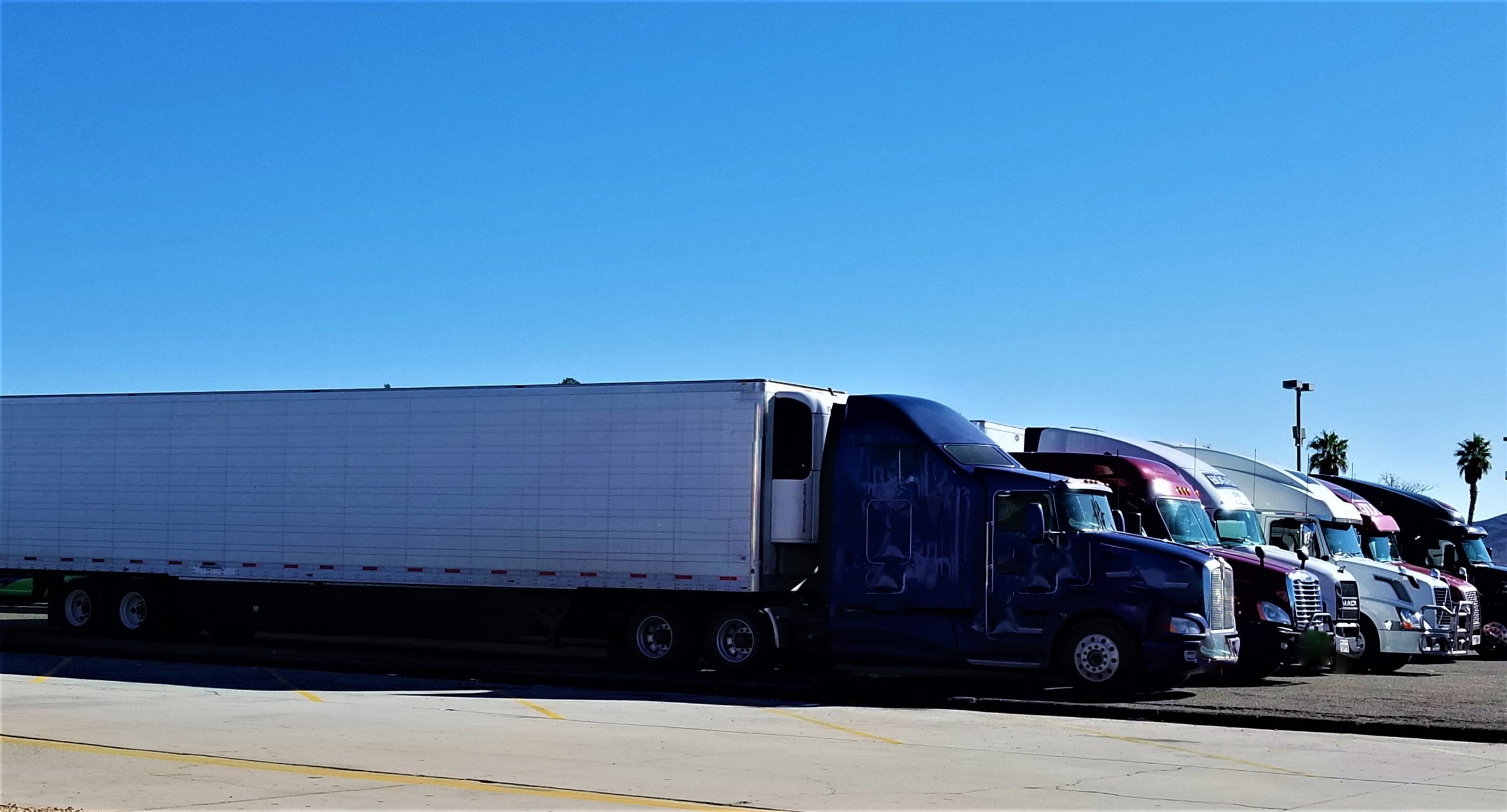 transport management software UK