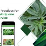 Marijuana_delivery_app_best_practices