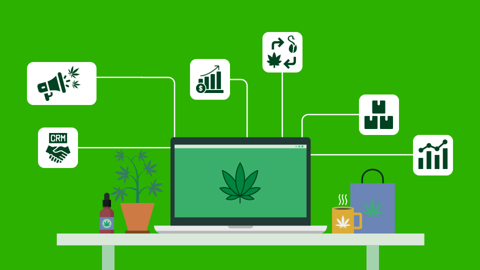 cannabis business software solution