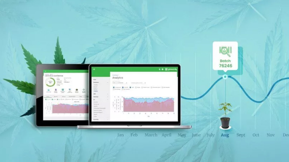 cannabis inventory tracking software